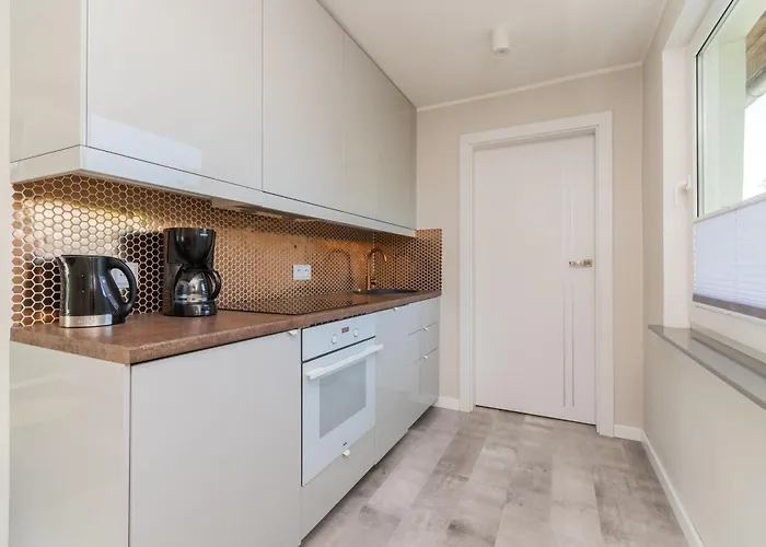 公寓 Szary & By Grand 索波特